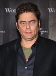 Benicio Del Toro