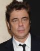 Benicio Del Toro