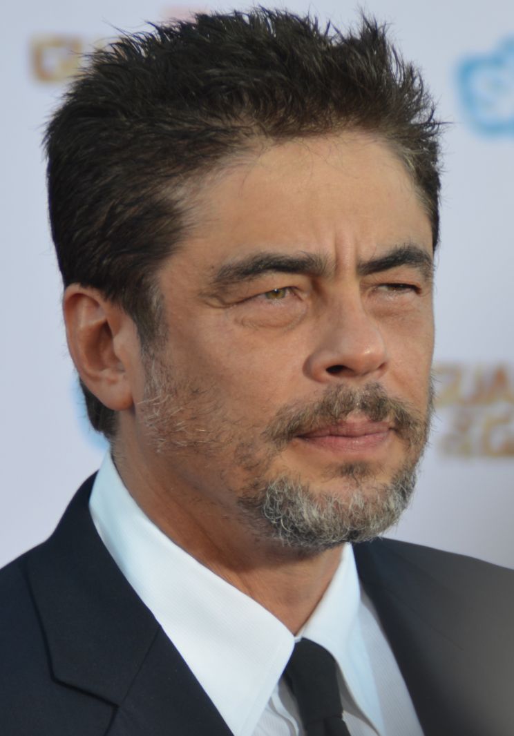 Benicio Del Toro