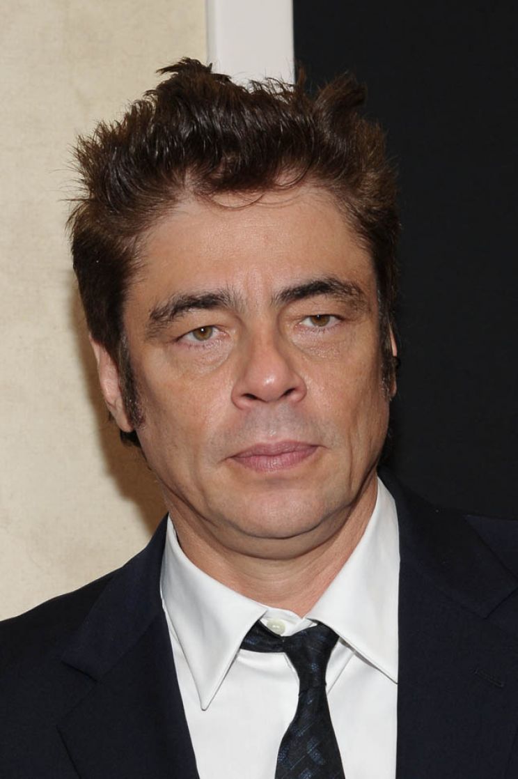 Benicio Del Toro