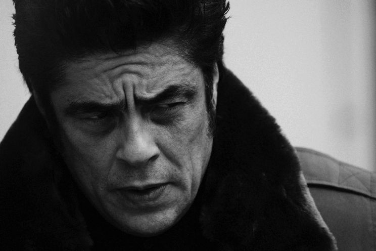 Benicio Del Toro