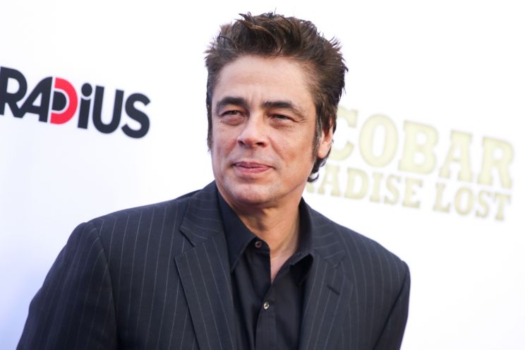 Benicio Del Toro