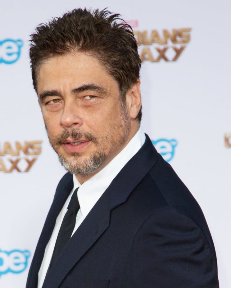 Benicio Del Toro