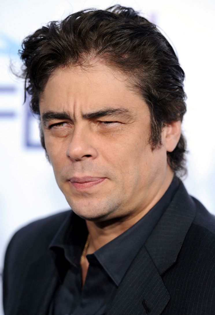 Benicio Del Toro