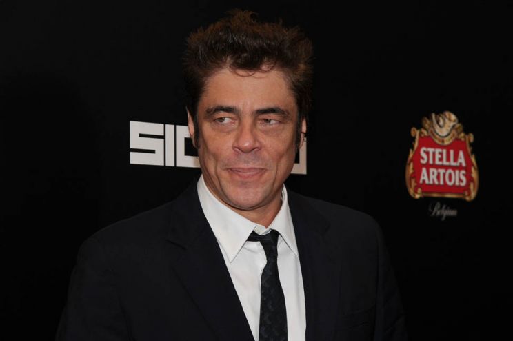 Benicio Del Toro
