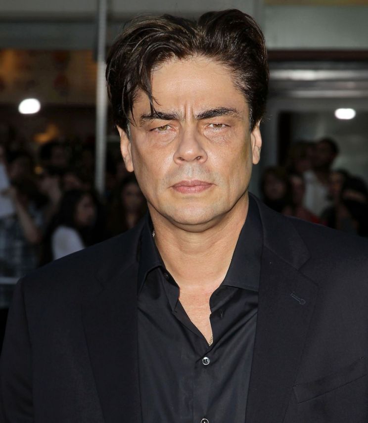 Benicio Del Toro