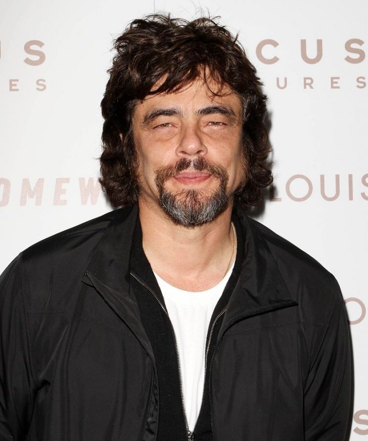 Benicio Del Toro