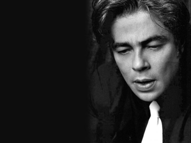 Benicio Del Toro