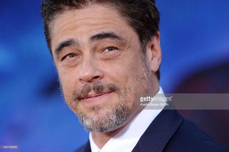 Benicio Del Toro