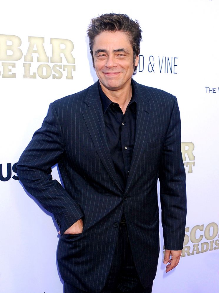 Benicio Del Toro