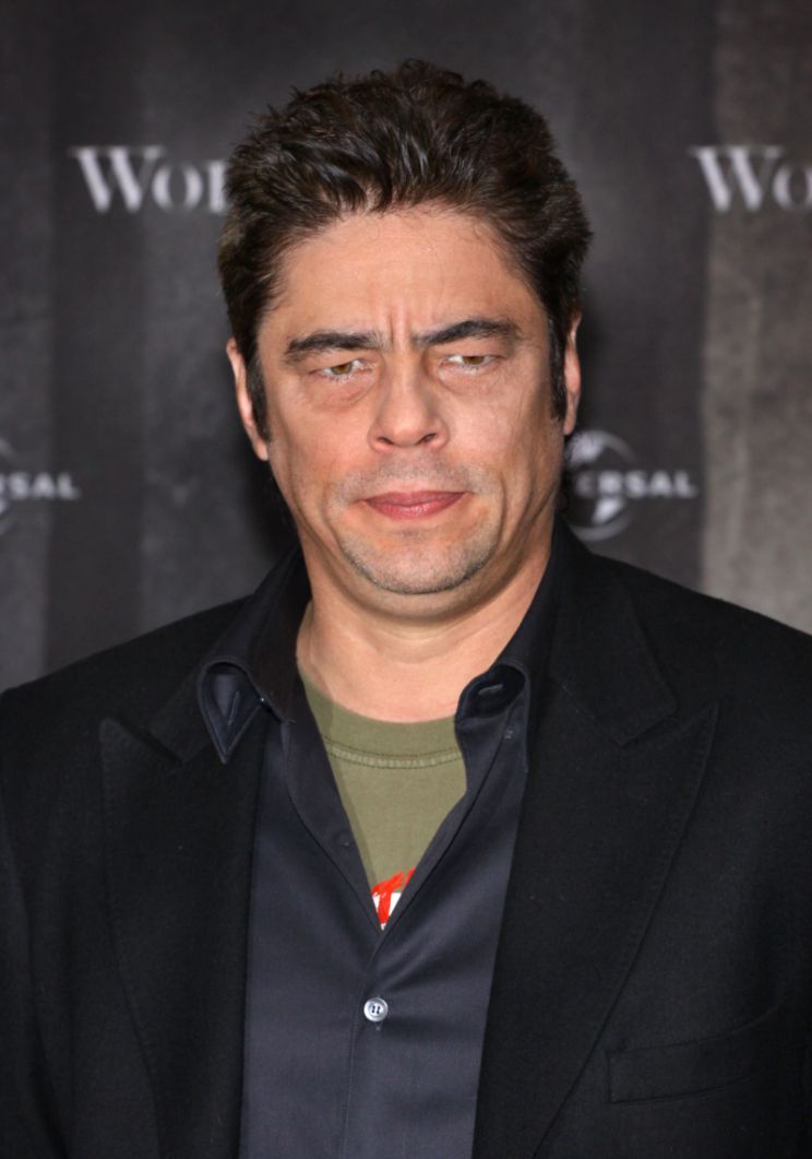 Benicio Del Toro