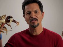 Benjamin Bratt
