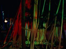 Benoît Debie #1987929 picture (Landscape Medium)