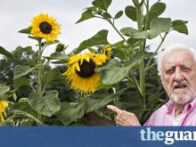 Bernard Cribbins
