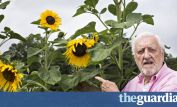 Bernard Cribbins