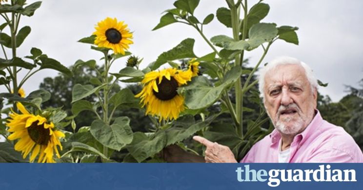 Bernard Cribbins