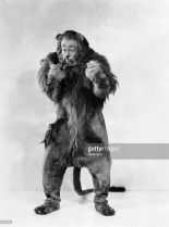 Bert Lahr photo