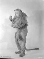 Bert Lahr photo