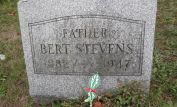 Bert Stevens