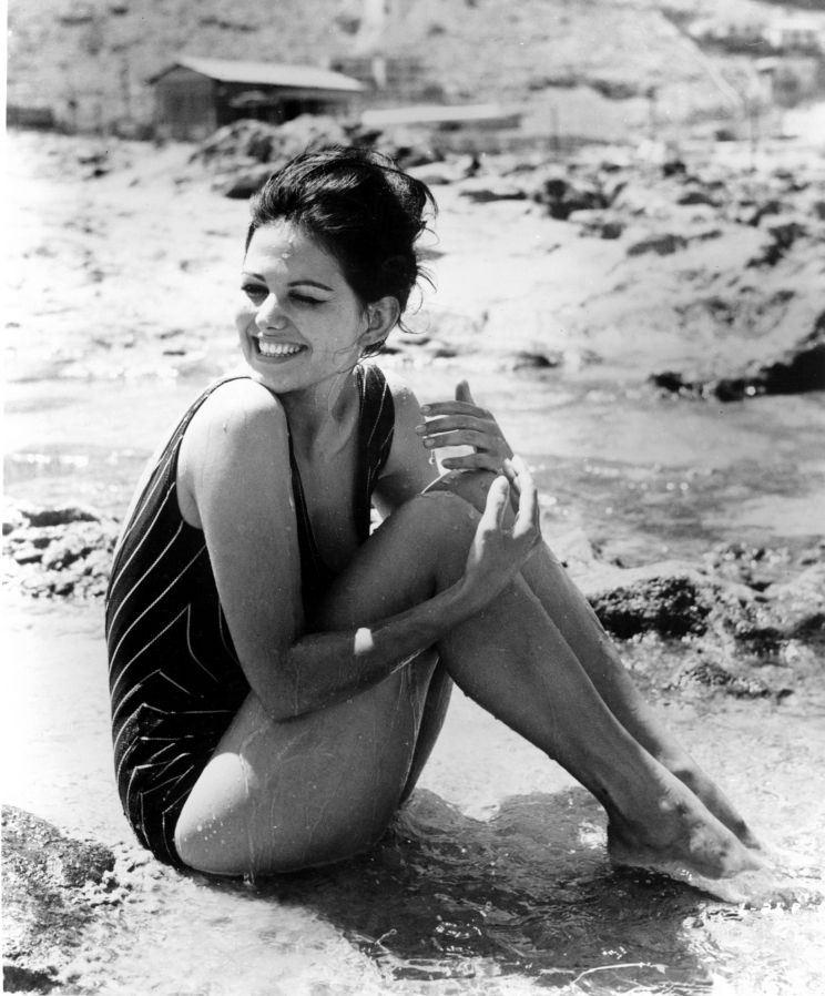 Beth Rogan
