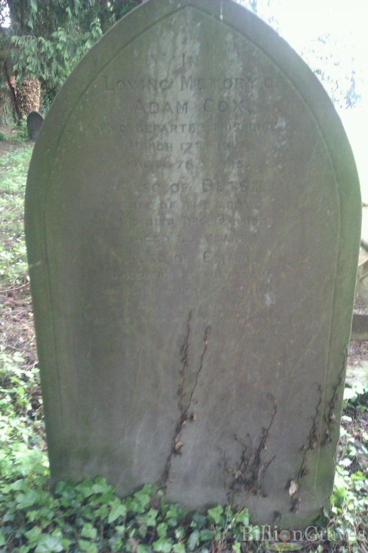 Betsy Cox