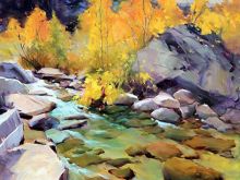 Betty Carr