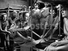Betty Garde