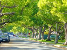 Beverly Hills