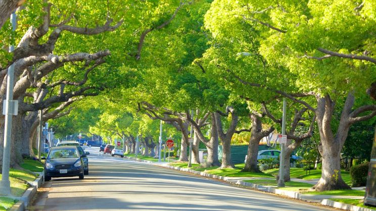 Beverly Hills