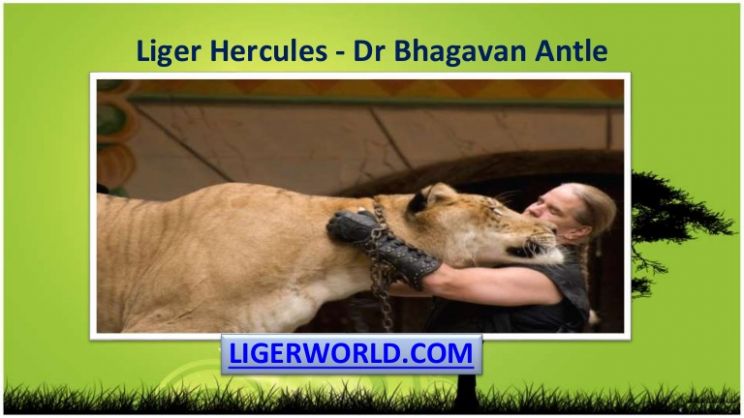 Bhagavan Antle