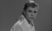 Bibi Andersson