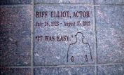Biff Elliot