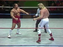 Big John Studd