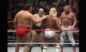 Big John Studd