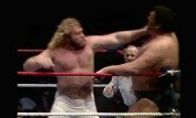 Big John Studd