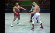 Big John Studd