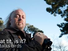 Bill Bailey