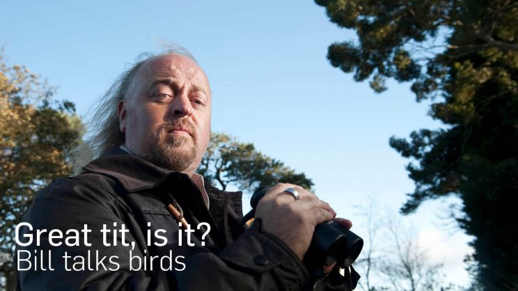 Bill Bailey