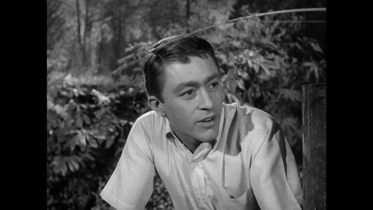 Bill Bixby