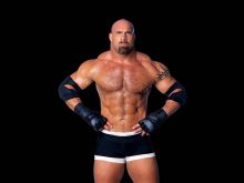 Bill Goldberg