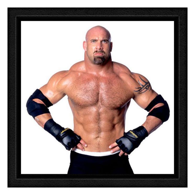 Bill Goldberg