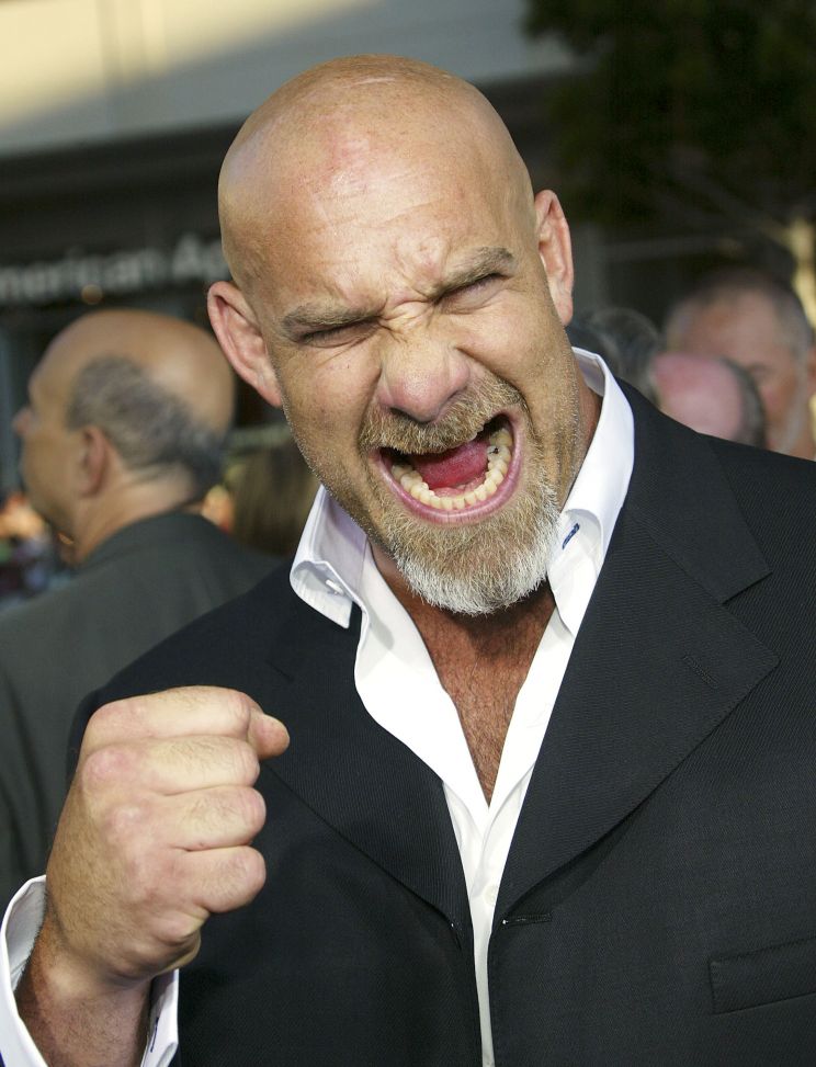 Bill Goldberg, Wall Of Celebrities,Celebrities,download celebrities's Pictures...