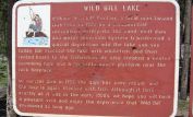 Bill Lake