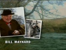 Bill Maynard