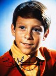 Bill Mumy