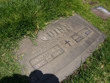 Bill Quinn