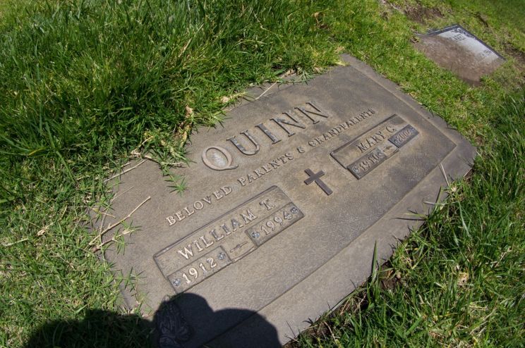 Bill Quinn