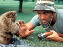 Billy Murray