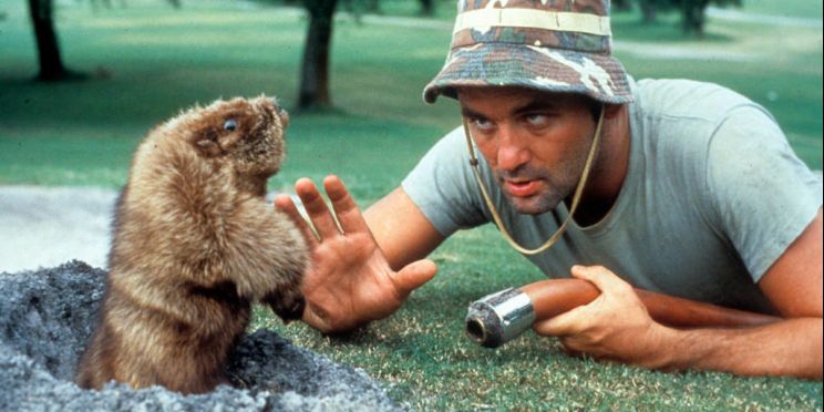 Billy Murray