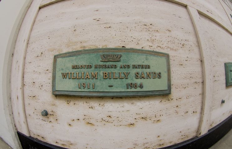 Billy Sands